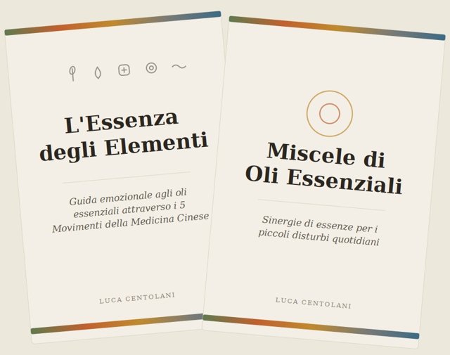 Le copertine delle due guide, affiancate